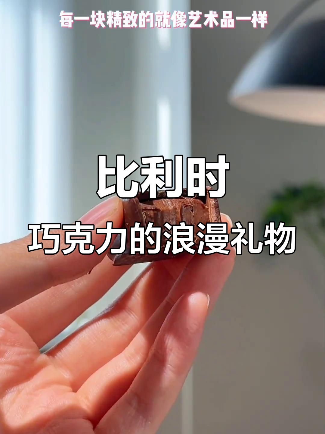 送女友比利时进口巧克力,12种口味惊喜不断!