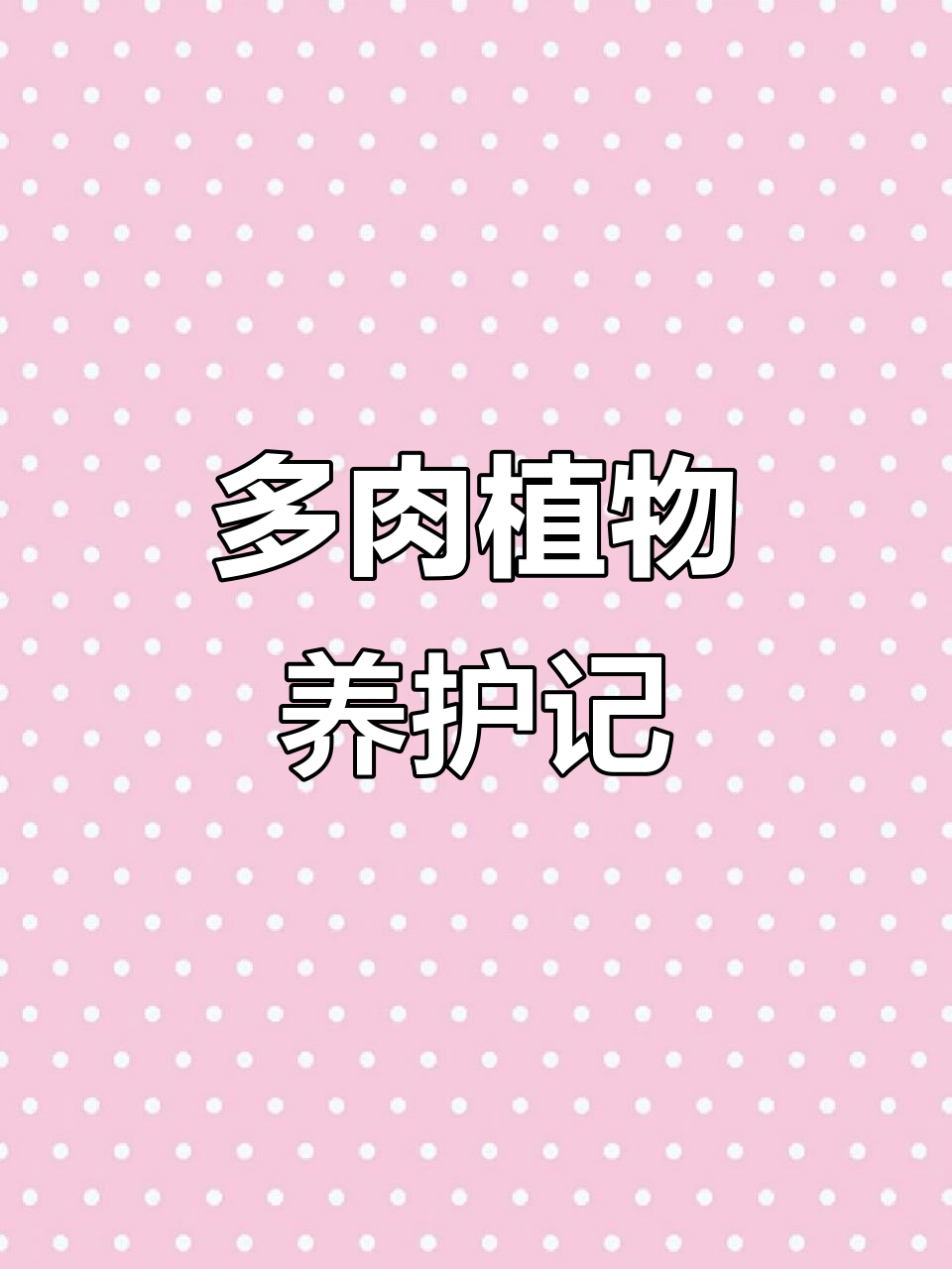 蓝色天使锦:多肉植物的美丽与养护日常