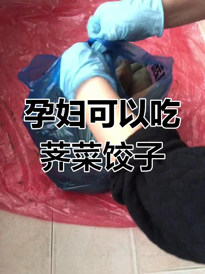 孕妇能吃荠菜饺子吗?了解健康饮食