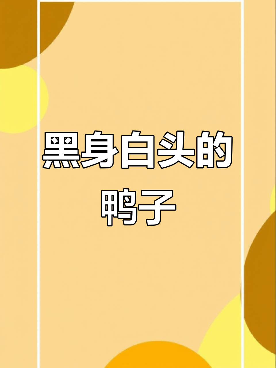 这是什么鸭?黑身白头,超萌!