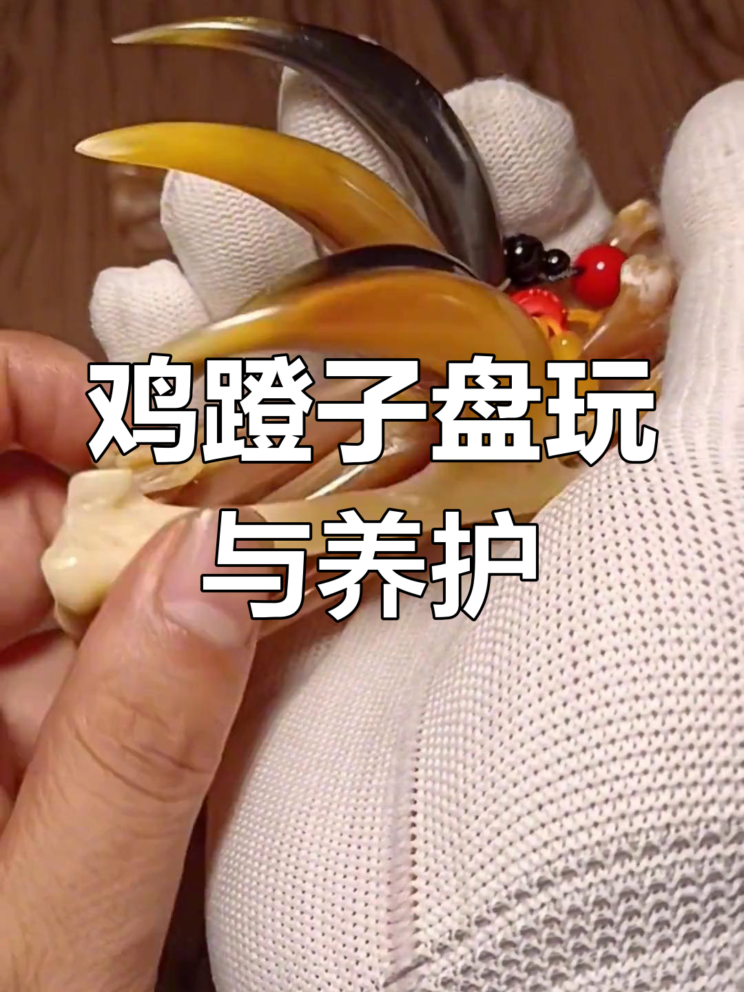 鸡爪文玩如何保养?避免开裂脱粉的技巧分享