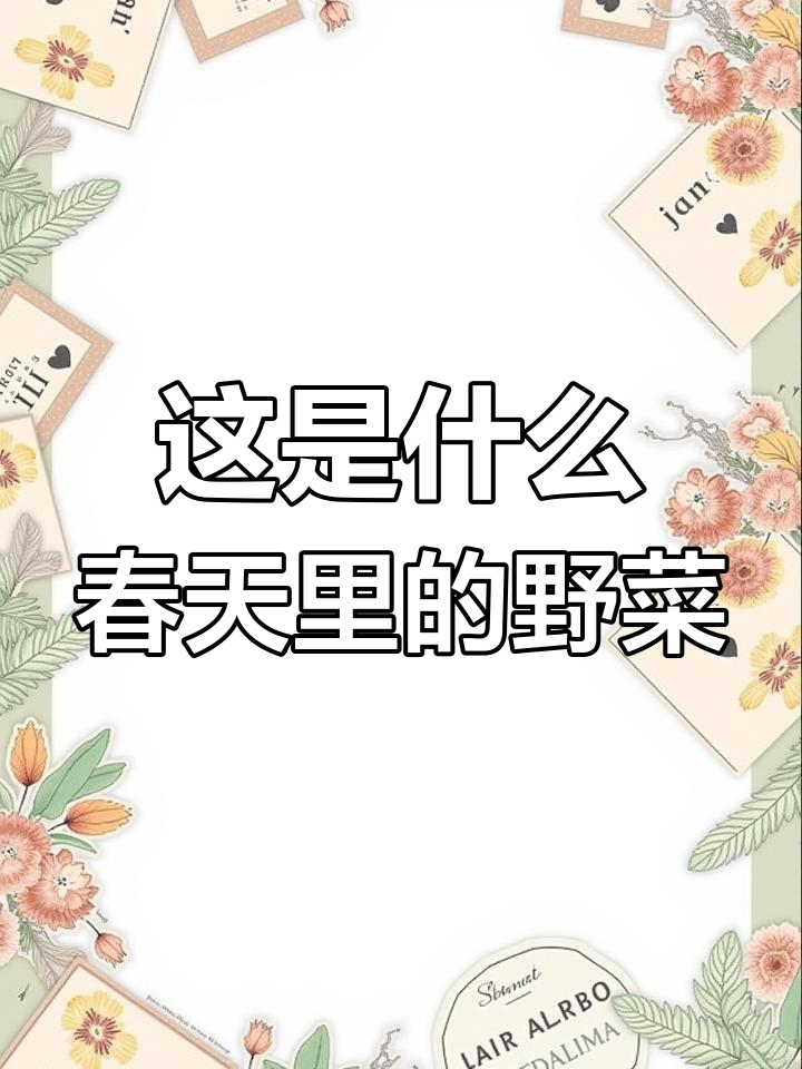 春天的味道,这是什么野菜?