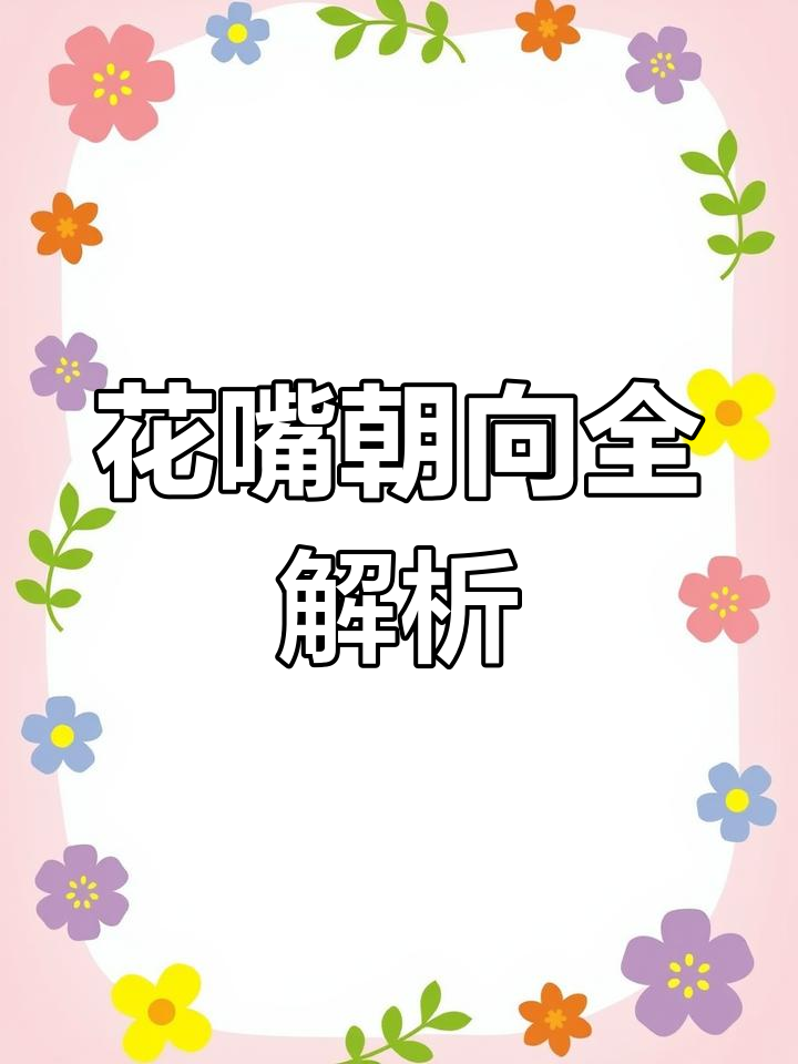 花嘴朝向技巧大揭秘,做花卉蛋糕不再难