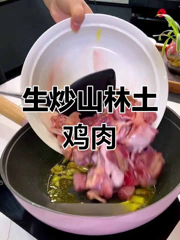 森林散养童子鸡,肉质鲜嫩炒出满满香气