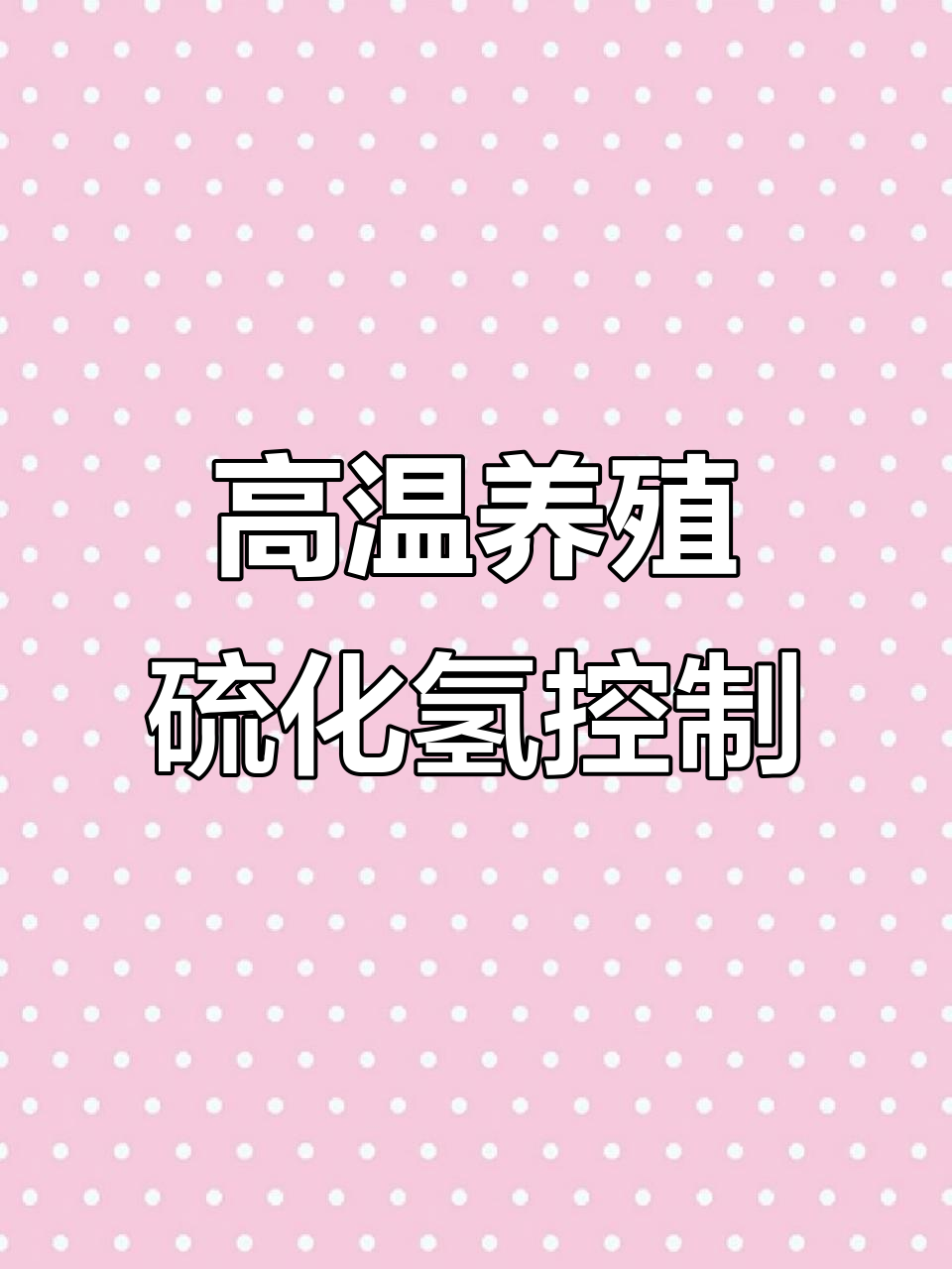 高温养殖硫化氢问题解析,如何应对罗氏虾病害