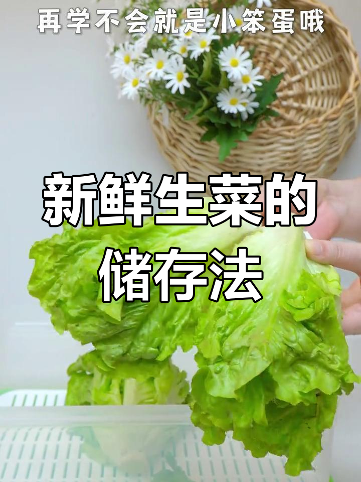 生菜保鲜技巧,保持脆嫩口感