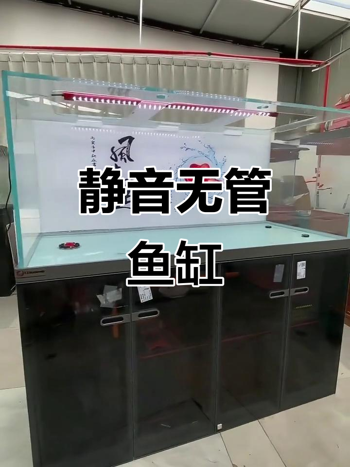 无管道鱼缸，静音设计让水质更稳定