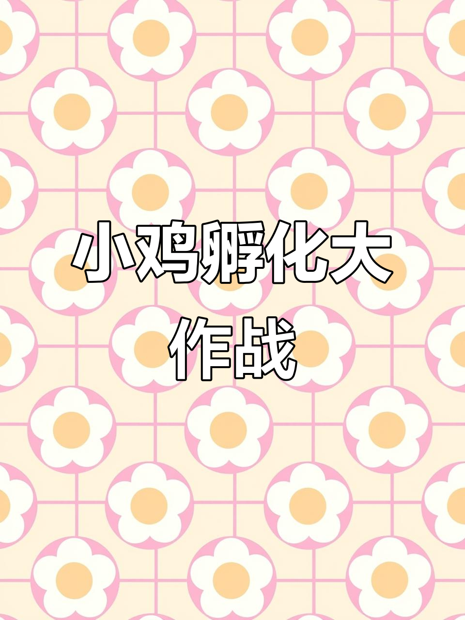 熬夜守着小鸡出壳,5个蛋等着我呢!