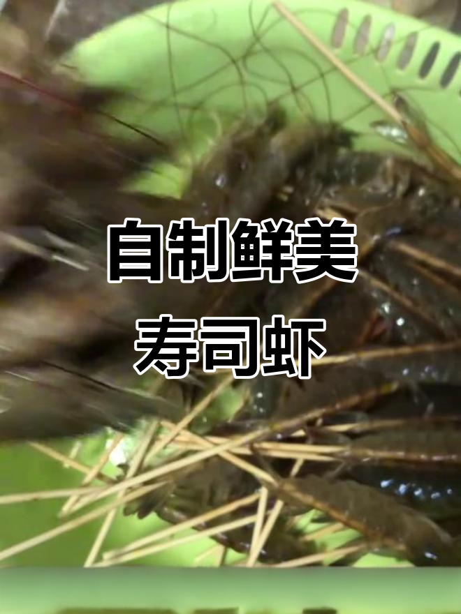 鲜活明虾变寿司，Q弹美味轻松做