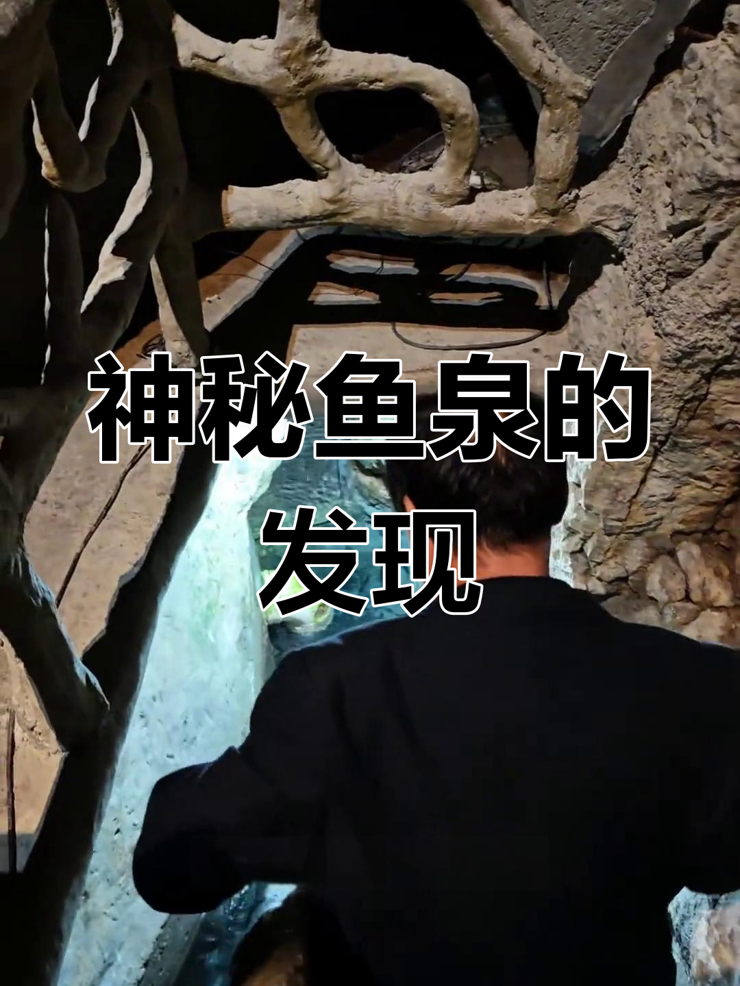 重庆神奇鱼泉,梦中宝藏成真!