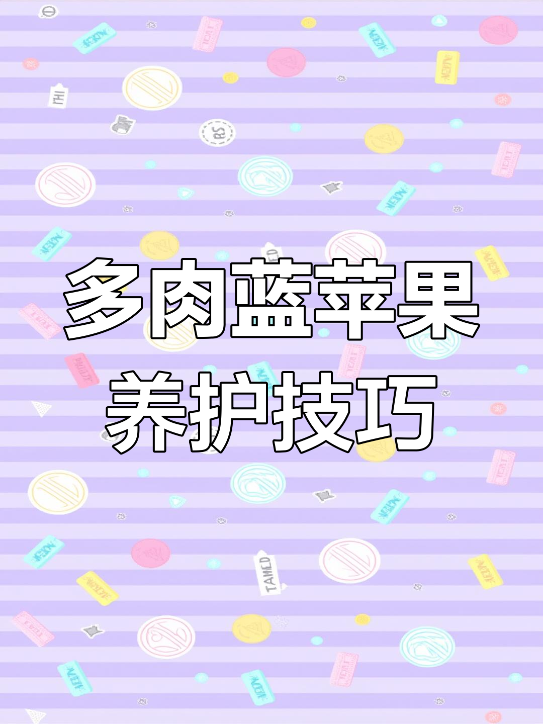 蓝苹果多肉养护全攻略:温差大时叶尖变红,夏季需注意