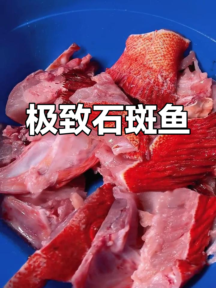 石斑鱼中的极品,鲜美至极的蒸法