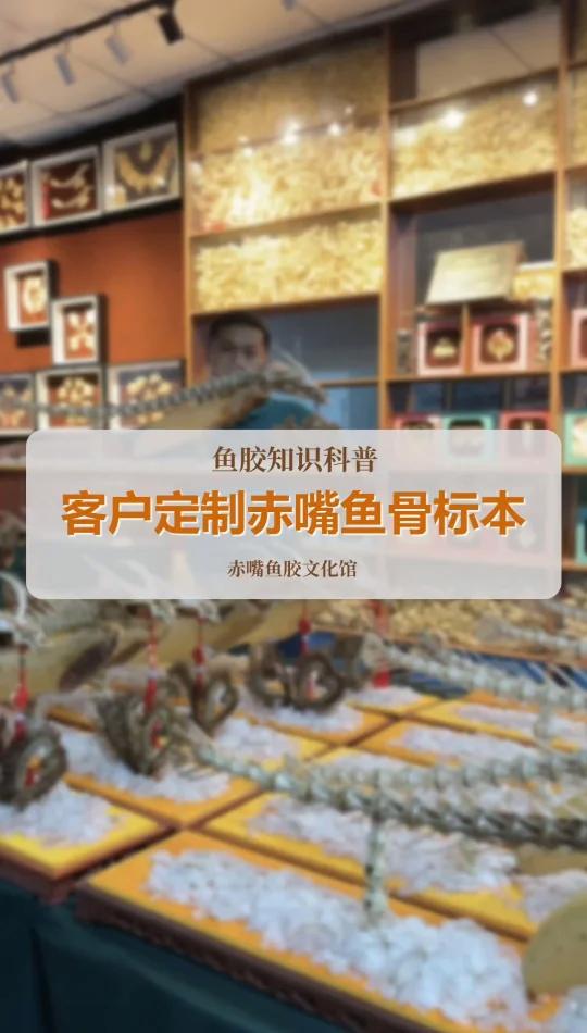 客户定制的赤嘴鱼骨标本