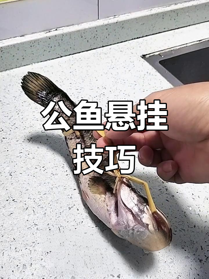 弓鱼术揭秘:如何让冬鱼轻松离开水面