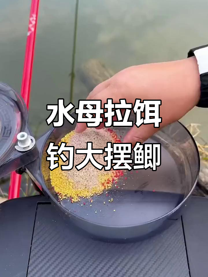 冬季钓鲫必备饵料配方,水母粉让钓鱼更简单