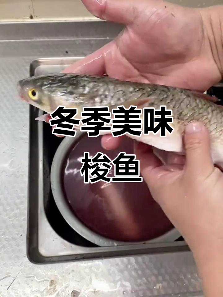 用8元梭鱼做酱焖,口感细腻,调料丰富,冬天吃正好!