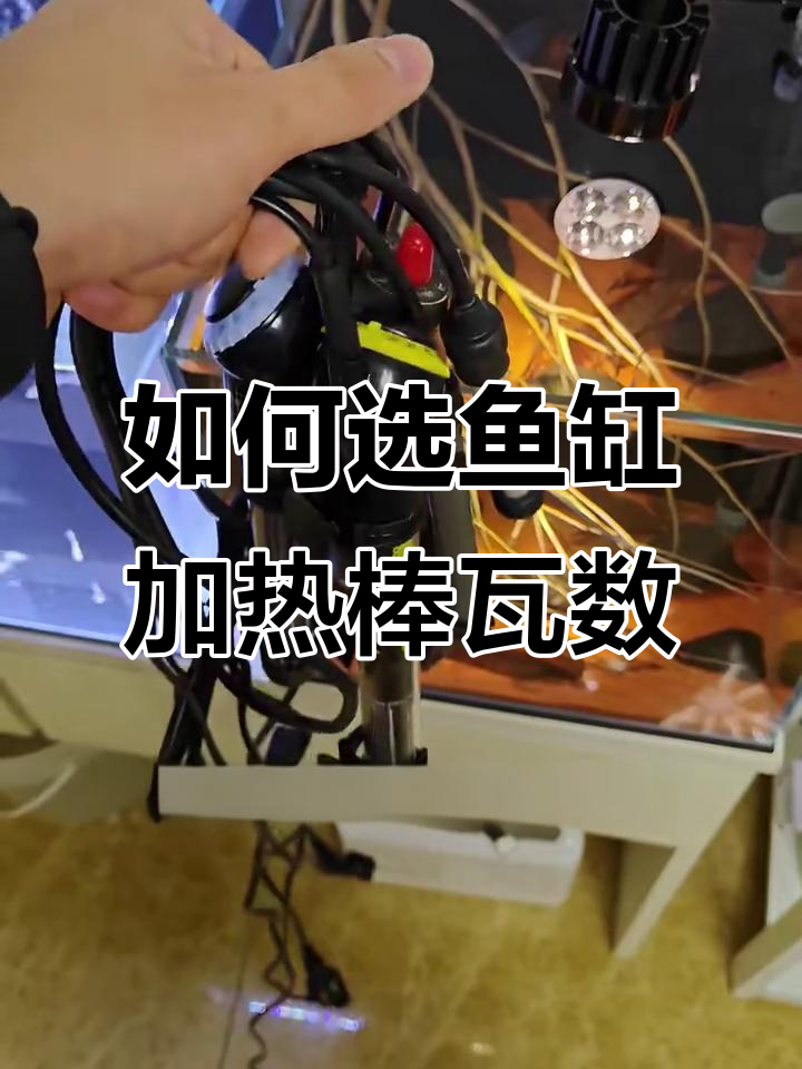 鱼缸加热棒功率选择指南,哪个品牌性价比高?