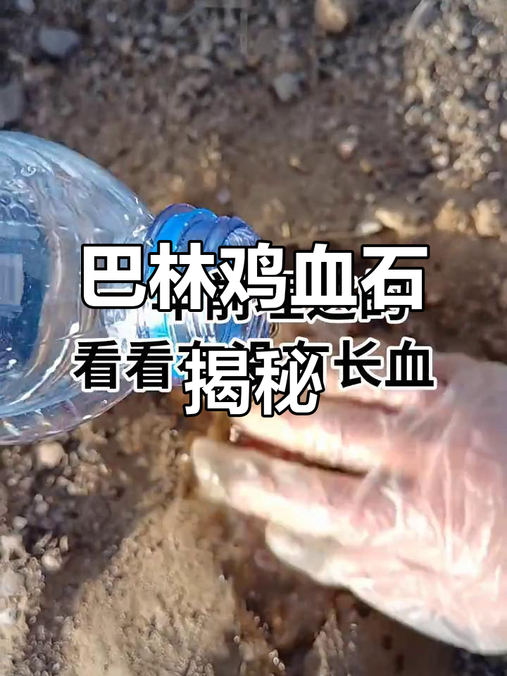 巴林鸡血石：热门原石的魅力与价值