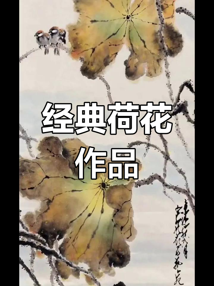 赵少昂荷花画作赏析