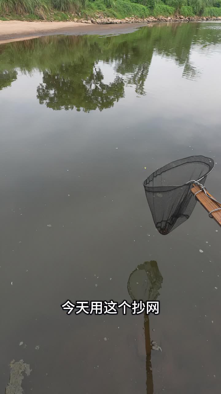 河边用抄网抓到一些小虾,煎着吃,味道好极了。我的乡村生活 农村生活