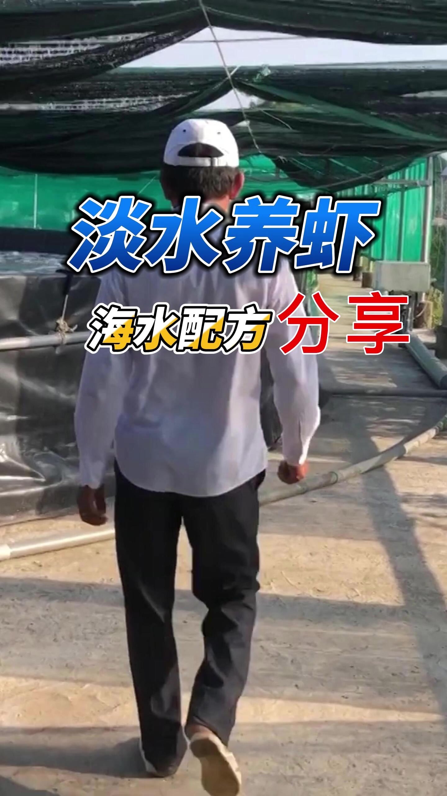 淡水养虾,真正的海水配方!大家赶紧收藏!