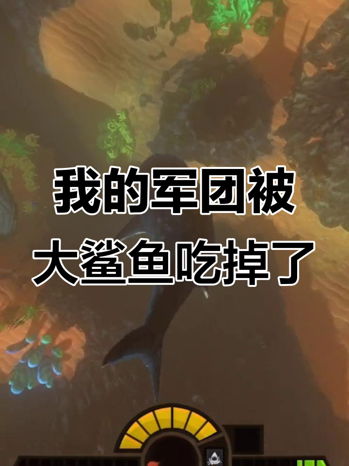 七彩骷髅食人鱼孵化军团,却被大白鲨吃掉!