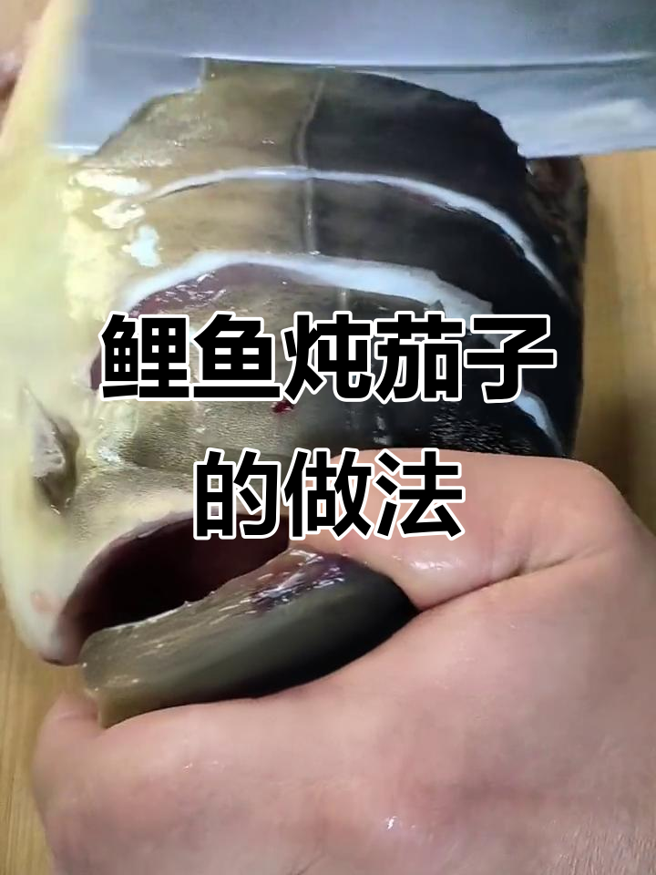 三花鲤鱼炖茄子，家常美味不容错过