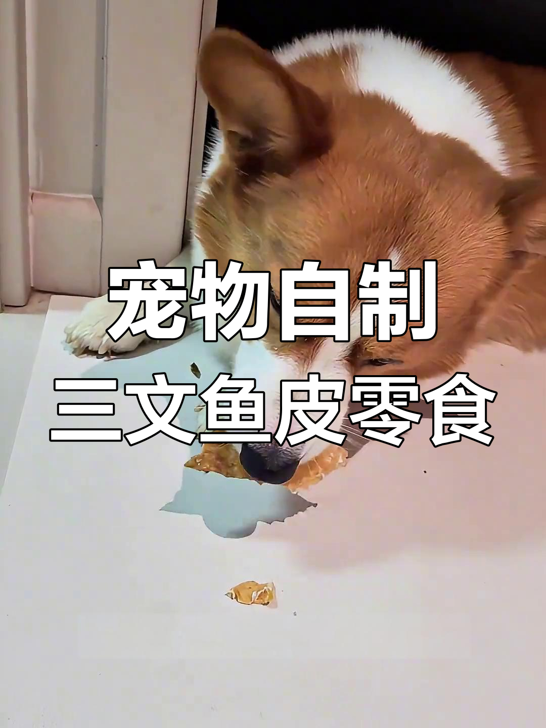 自制三文鱼皮零食,狗狗超爱!烤箱版做法大公开