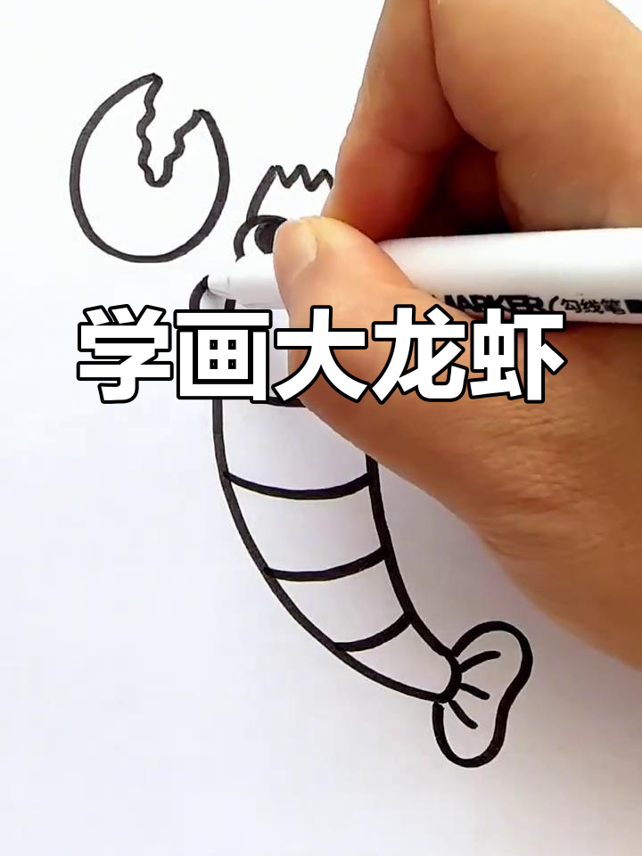 轻松学画大龙虾,简单步骤教你画出可爱虾饺