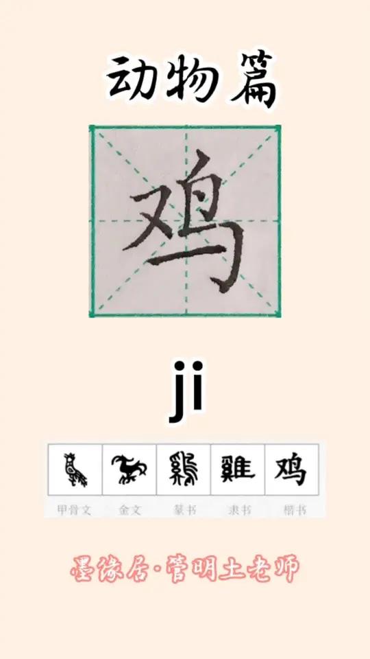 鸡字的演变与书写 规范字书写 零基础学书法 书法 汉字书写技巧 练字技巧
