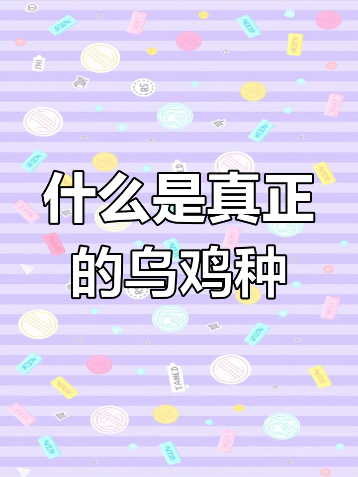 乌鸡种翡翠真相揭秘:冰乌鸡与底灰的区别