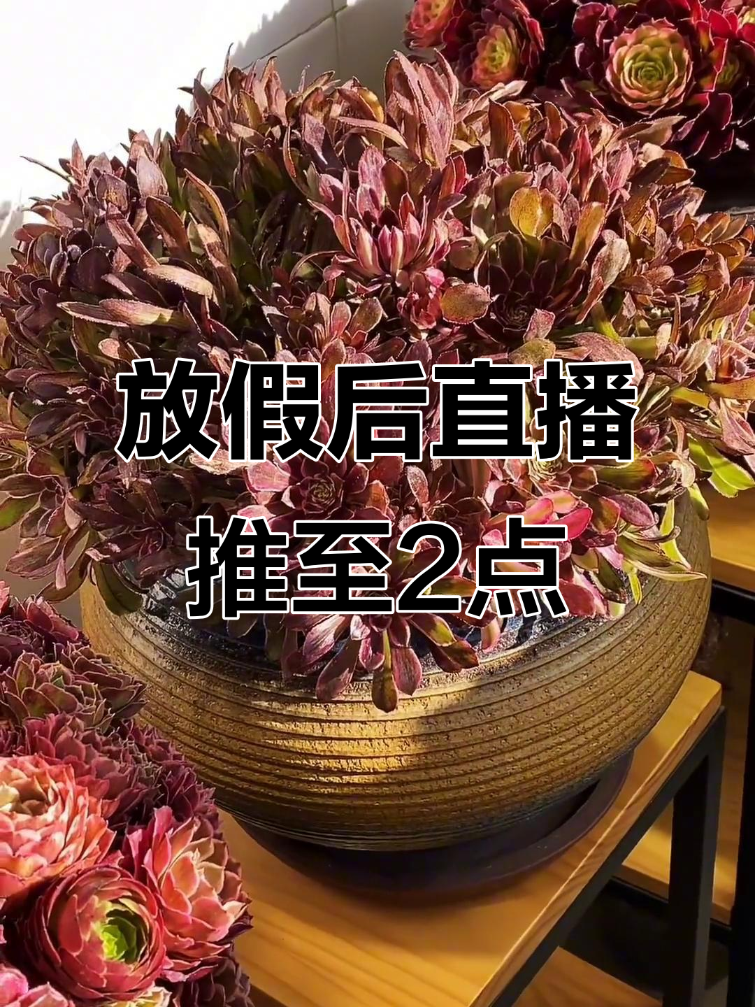 娃放假了,直播时间调整到2点!