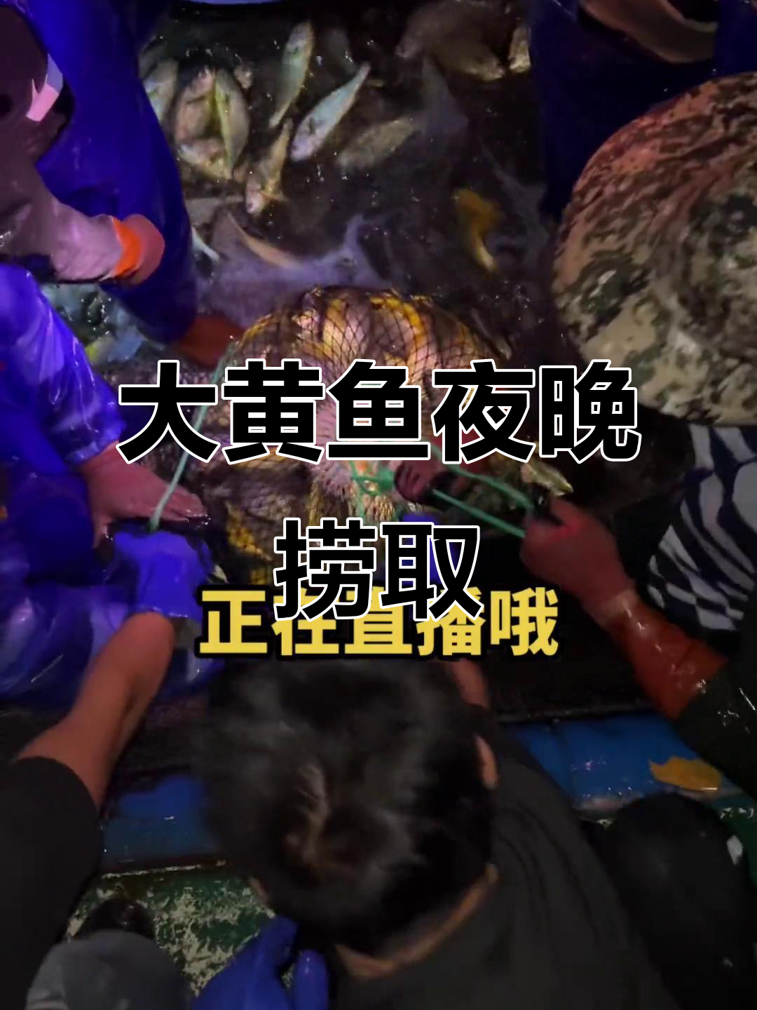 渔民夜捕大黄鱼,热闹非凡的海鲜原产地生活
