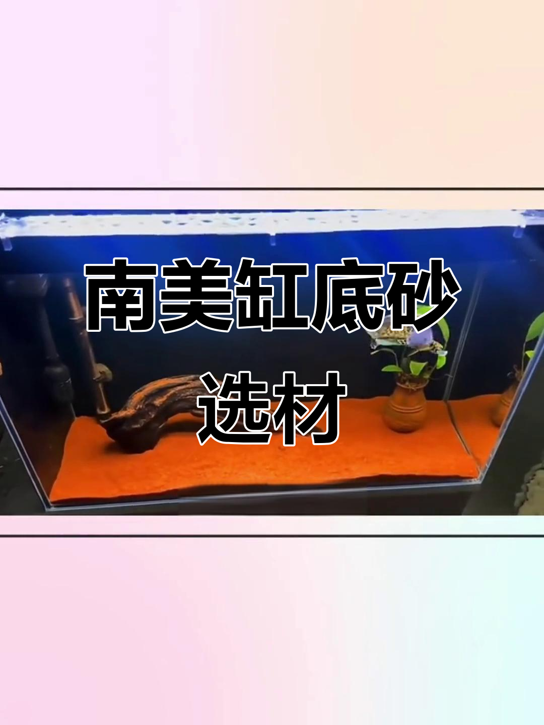 热带雨林沙缸底砂,南美缸造景必备免洗红沙子