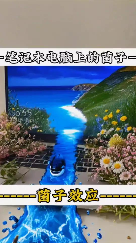 笔记本电脑壁纸大海的鲸鱼游出来了,火车开也出来了怎么办?