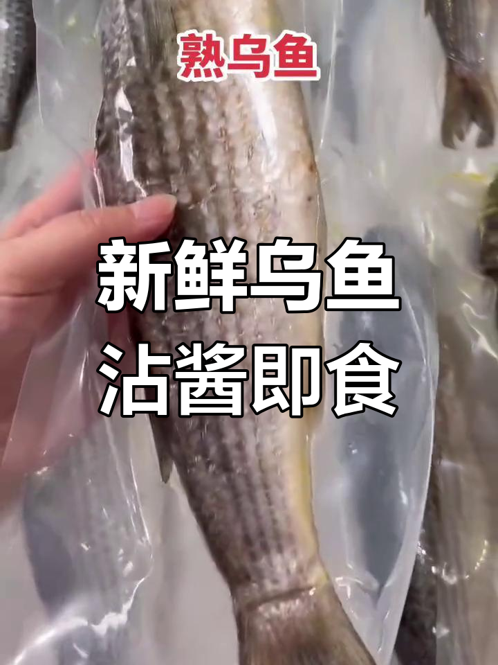 潮汕熟乌鱼,鲜嫩美味,简单调味即可享用