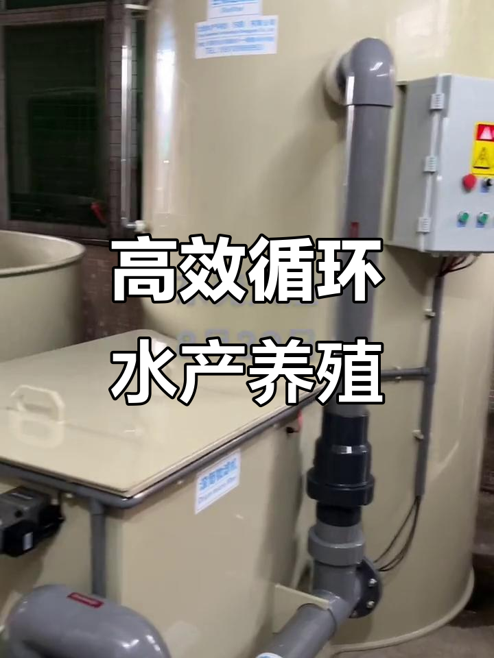 8月启用:工厂化循环水养殖设备打造瘦身鱼池与生态系统