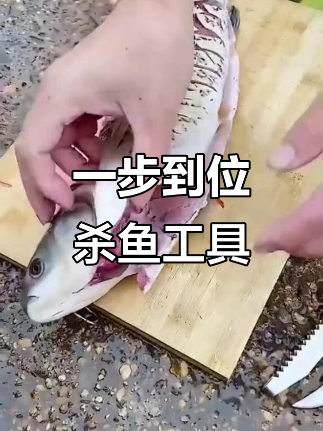 一刀破肚，轻松去鳞，厨房神器让杀鱼更简单
