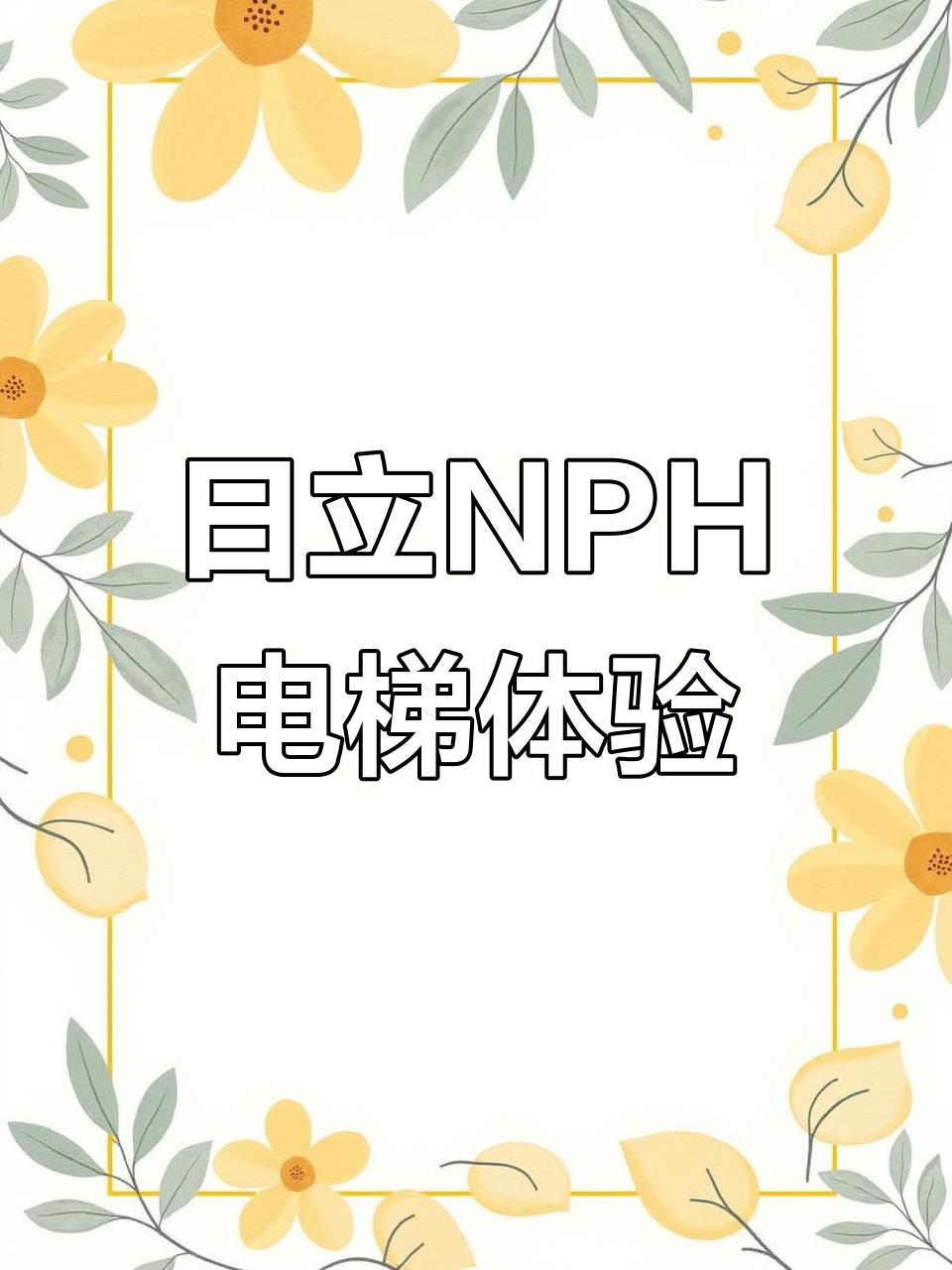 波托菲诺天鹅堡S栋的日立NPH电梯,品质与奢华并存