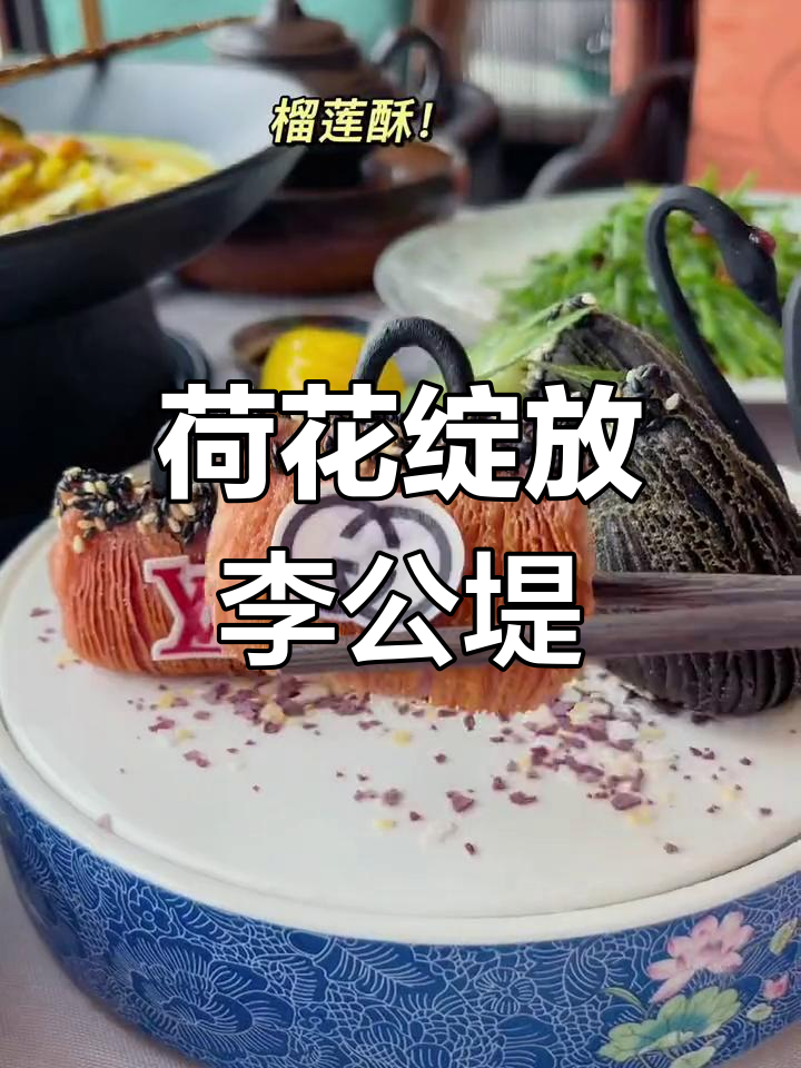 李公堤荷花盛开,快来打卡!