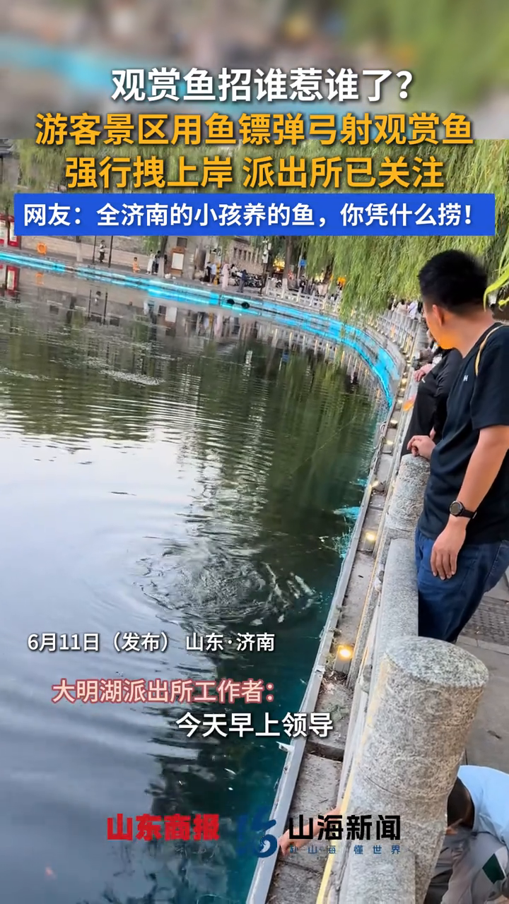 观赏鱼招谁惹谁了？游客景区用鱼镖弹弓射观赏鱼，强行拽上岸