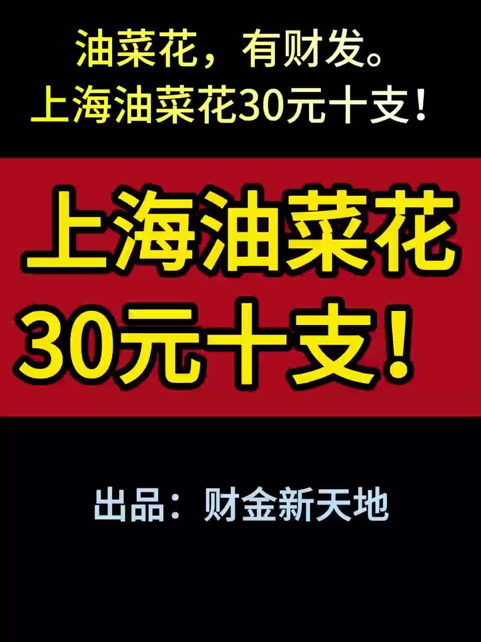 上海油菜花30元十支!近日,上海一家花店推出30元10支的油菜花束,以油菜花