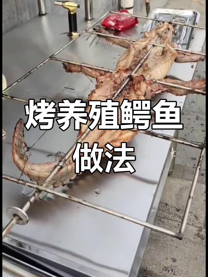 烤鳄鱼全宴配方大公开,轻松学做美味