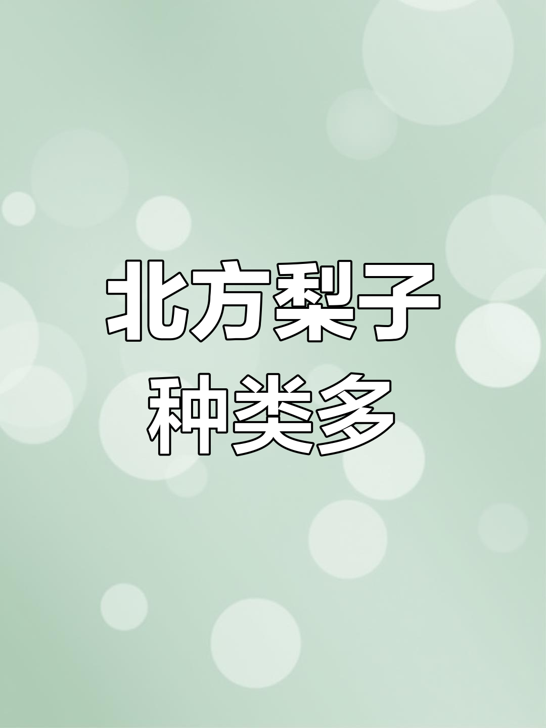 北方市场常见梨品种二十余种,部分已难见