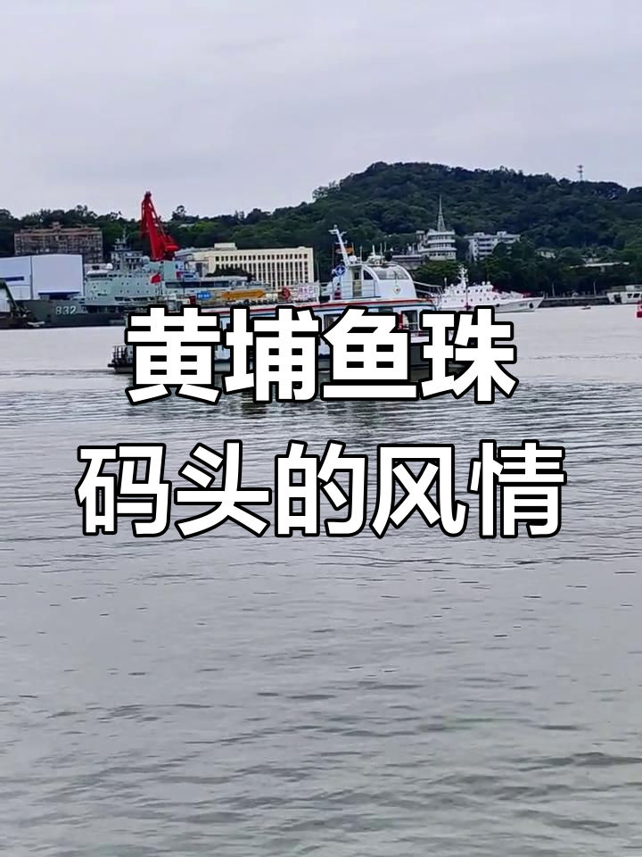 广州黄埔鱼珠码头:江湖风华,人生如梦
