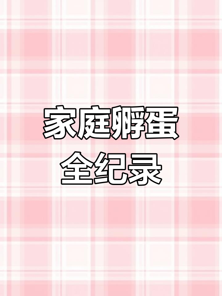 在家轻松孵化小鸡,21天见证破壳瞬间!