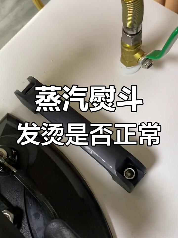 永达蒸汽熨斗发热正常吗?