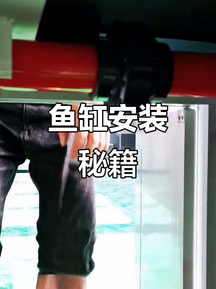 安装鱼缸超简单,看这个视频轻松搞定!