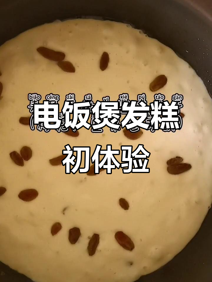 终于尝试用电饭煲做发糕,简单又成功!