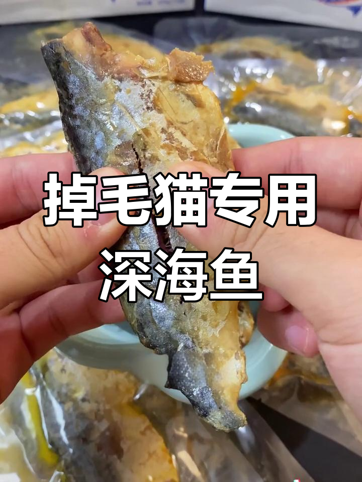 深海鲭鱼对猫咪的好处,营养又美味